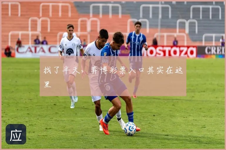 找了半天,弈博彩票入口其实在这里